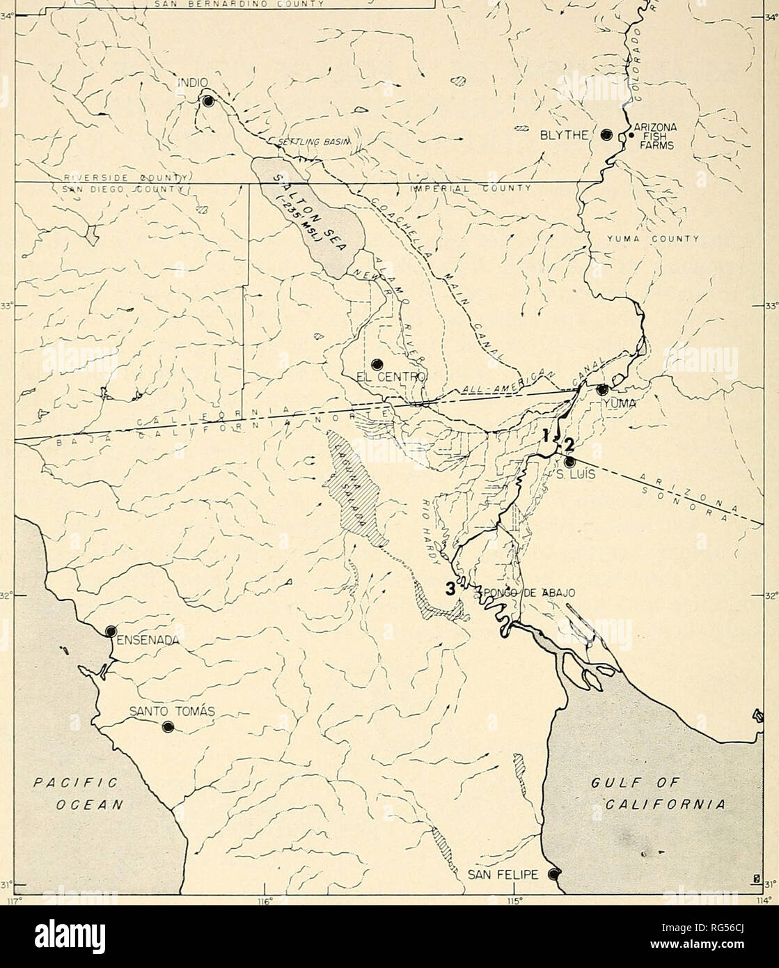 . Chasse et pêche de la Californie. Pêche -- Californie ; jeu et jeu-oiseaux -- Californie ; Poissons -- Californie ; groupes de population animale ; pêches ; gibier, poissons. 288 CALIFORNIA FISH AND GAME f '-^^ ^ ^ SflN BERNARDINO. La FIGURE DU PACIFIQUE 2. Croquis de la partie inférieure du fleuve du Colorado, y compris le delta et évier, Salton montrant par des numéros où red roses ont été prises le long de la rivière en 1953. Rédigé par Robert G. Kirk principalement de fonds de cartes topographiques de l'état et les feuilles par le Geo- Enquête logique, à partir de cartes aéronautiques du monde, et à partir de cartes et données fournies par l'International Bounda Banque D'Images