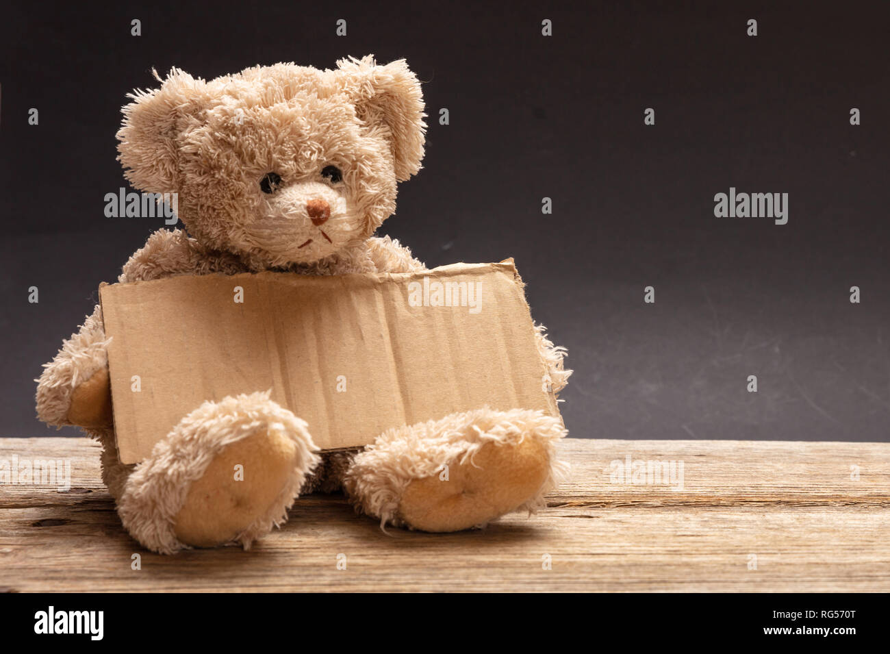 Les pauvres sans-abri la mendicité des enfants. Ours triste, holding a blank sign en carton, assis sur fond noir, copy space Banque D'Images