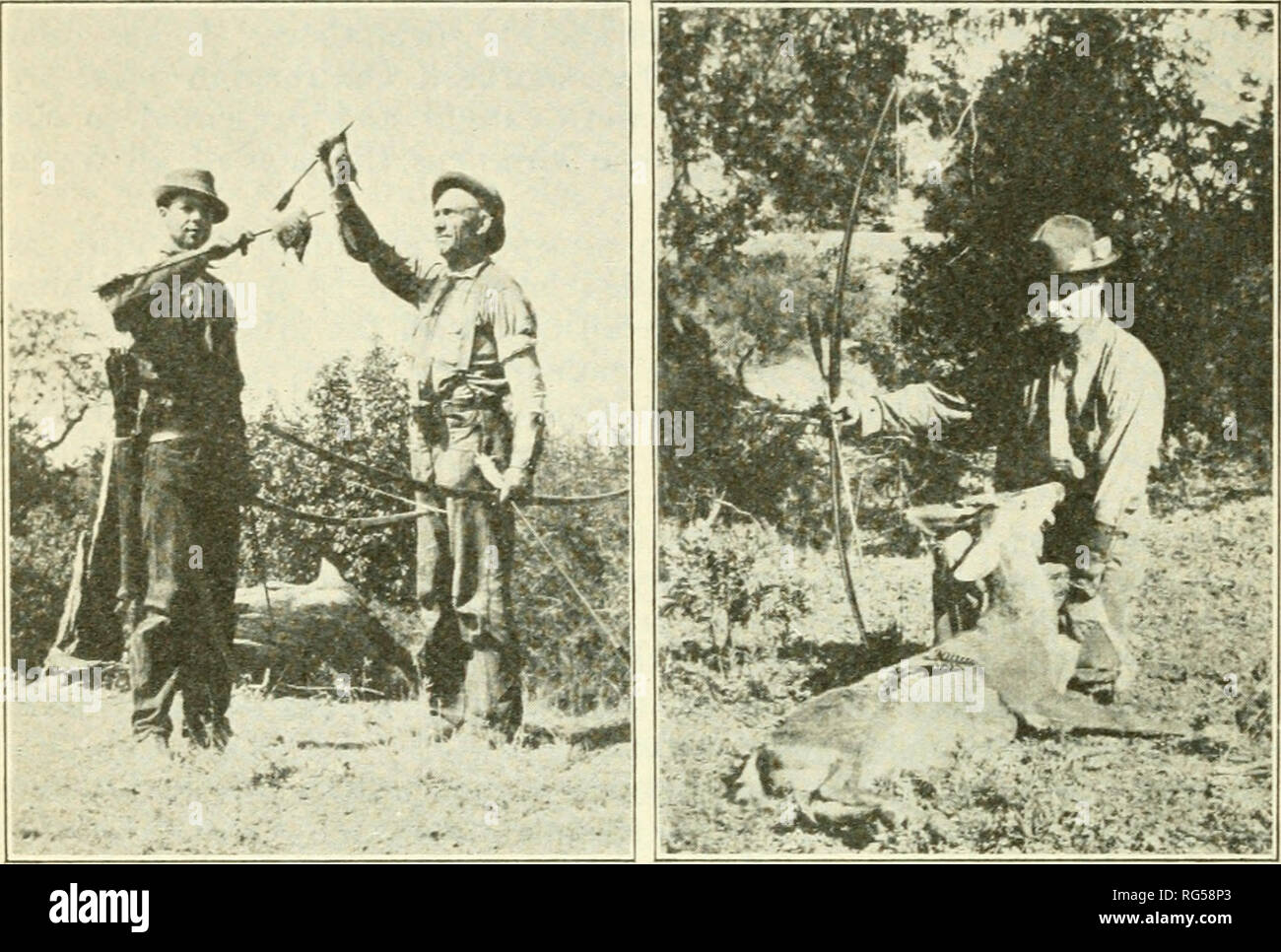 . Chasse et pêche de la Californie. Pêche -- Californie ; jeu et jeu-oiseaux -- Californie ; Poissons -- Californie ; groupes de population animale ; pêches ; gibier, poissons. 184 CALIFORNIA FISH AND GAME. Nous pensons qu'huiitin. ! ? avec arc et flèche n'est pas seulement possible, mais démontrer qu'il est possible de sortir et obtenir le jeu. Au cours des trois dernières années W. J. Compton, Arthur Young et l'écrivain ont été la chasse avec, le long bow. Nous prenons nos propres Aveapons d'if de l'Oregon. Ils sont la hauteur d'un homme et tirer cinquante à quatre-vingts livres. La chaîne est faite de lin irlandais ; un brin d'Bubours n° 12 pour Banque D'Images