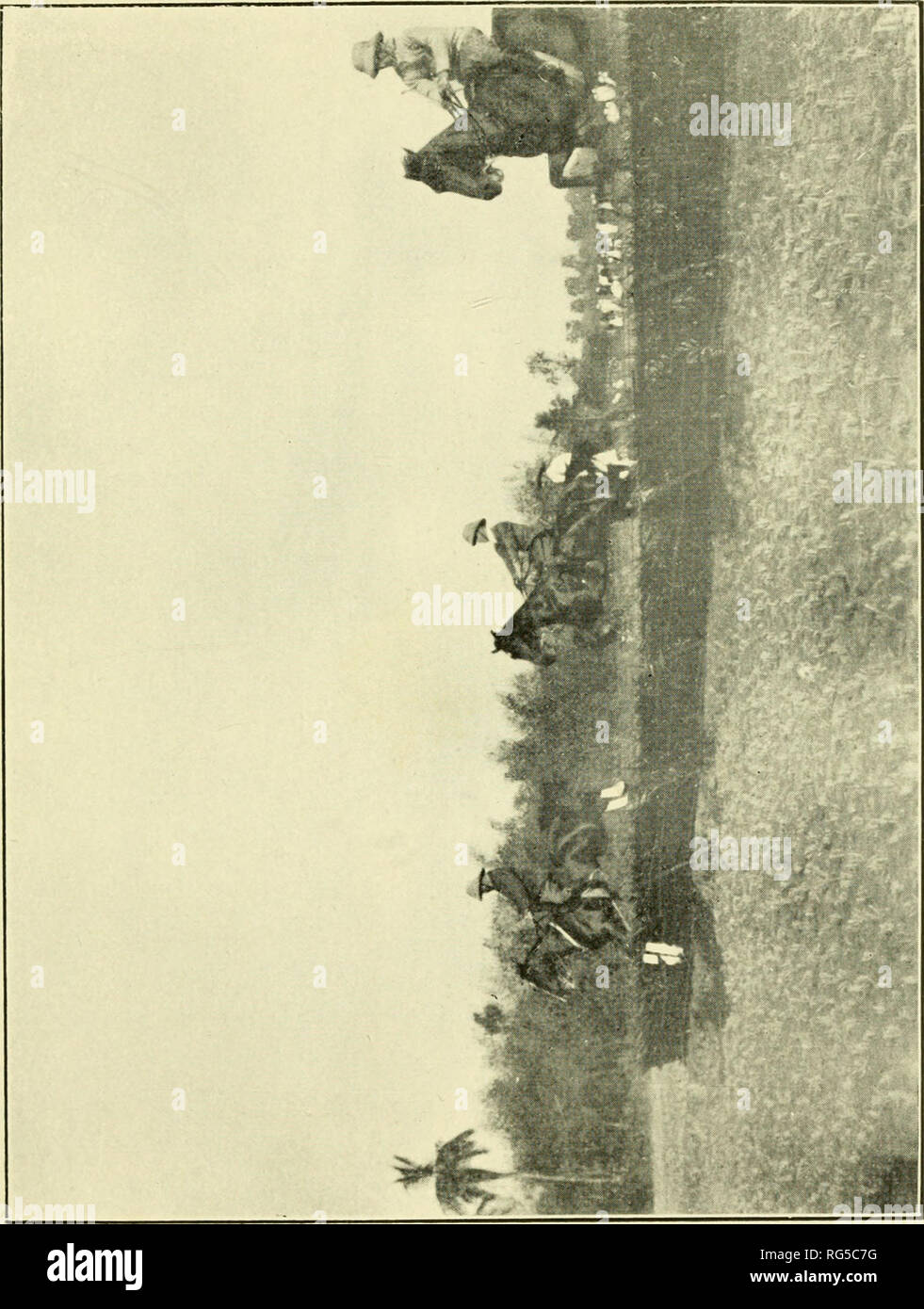 . Paperchasing Calcutta records. Les chevaux, Steeplechasing -- l'Inde ; la chasse au renard -- l'Inde. bfl 13 n3 J3 T3 a U U J3 comme un O, &gt ;, c o Oh. Veuillez noter que ces images sont extraites de la page numérisée des images qui peuvent avoir été retouchées numériquement pour plus de lisibilité - coloration et l'aspect de ces illustrations ne peut pas parfaitement ressembler à l'œuvre originale.. Sabretache, b. 1867. Calcutta : Thacker, Spink Banque D'Images