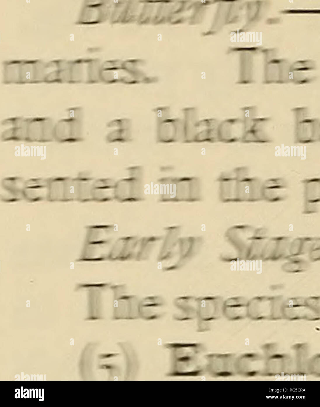 . Le papillon livre ;. Les papillons. Z&amp ; B 27^ 2 : tor :-- -- : :. ! :-- ;    .   ; :-.. ... R. » BwtUrityi ; iTIo-^-T'deiiciic jnlc nis r7T.s =ct, tor liiie ;*'r^T:TT7T*r£SQa de wfe&amp;amp;t&dL se ptsfigs abumfertlT^ wiH sarre lias besi f€comme ganJeil nffcffng» ladeSai feonsy wk tw0 wfaiclfi cif elexcon kss 7^JMlrfeiifflHe colecSiir s£ Utiliser^ Monrnoo famygSFd gmefaliffiffi bf tfis ddt* d'Tlfie Tarklal EacSaizisd pcmiaa est ci"fsf l&amp;e besivisr QEKier lfie à^ wiogs côté nf 1^ yaasg Fx|,. 1.2^liiJfciMfi de -1.40.^ jdMaw gesKB tise est aa la ^lioiii à côté du REFPP Tfee de rouge t&amp;e qpfier anya côté Banque D'Images