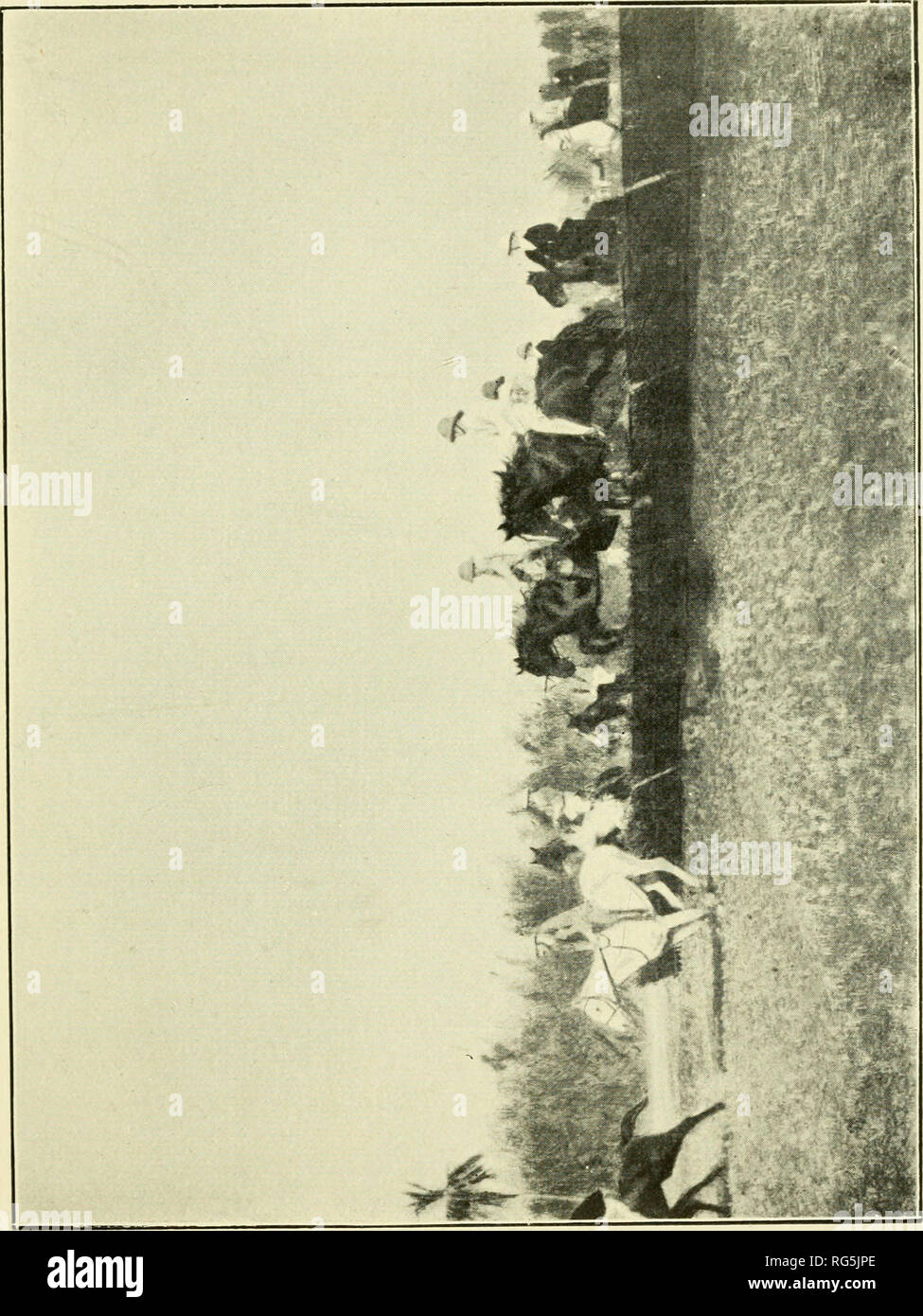 . Paperchasing Calcutta records. Les chevaux, Steeplechasing -- l'Inde ; la chasse au renard -- l'Inde. u Oh OS. Veuillez noter que ces images sont extraites de la page numérisée des images qui peuvent avoir été retouchées numériquement pour plus de lisibilité - coloration et l'aspect de ces illustrations ne peut pas parfaitement ressembler à l'œuvre originale.. Sabretache, b. 1867. Calcutta : Thacker, Spink Banque D'Images