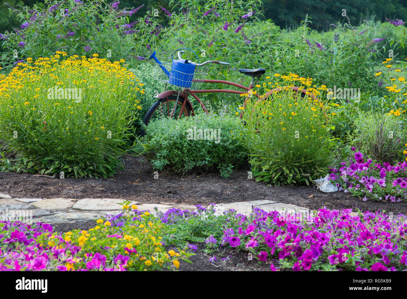 63821-23315 avec jardin de fleurs pourpre Homestead Verveine, Verveine jaune, rose vague Pétunias, vieux vélo Marion Co., IL (PR) Banque D'Images