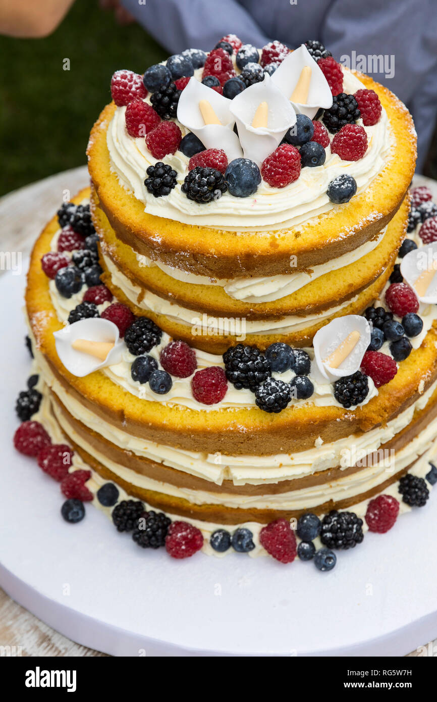 Gâteau à la Crème de framboise et de mûre Banque D'Images