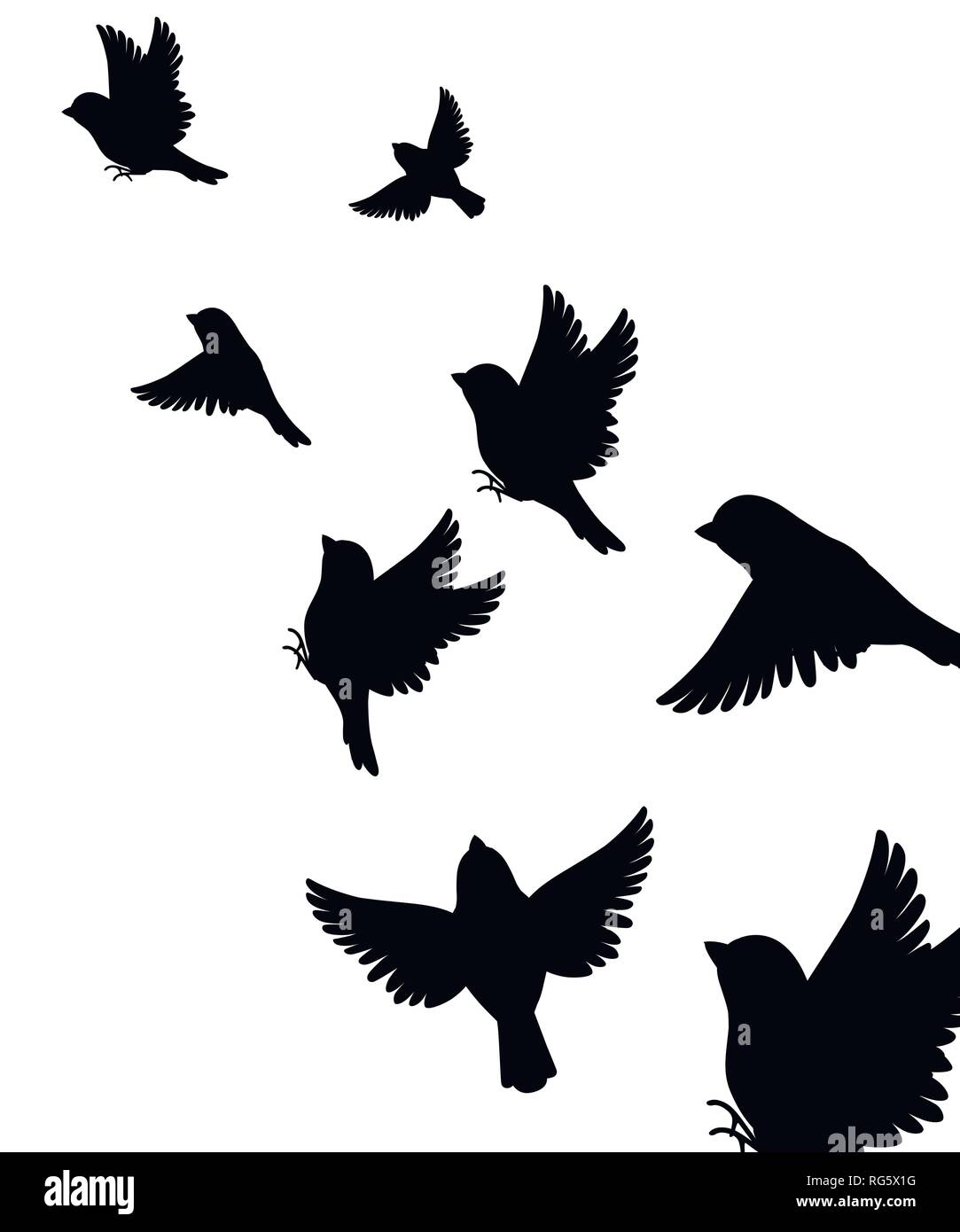 Abstract illustration de nombreux sparrow bird flying. Silhouette noire. Oiseau voler au sommet. Vector illustration sur fond blanc. Illustration de Vecteur