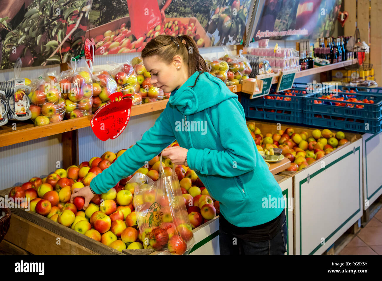 Le client achète les pommes à farm shop, Kundin kauft €pfel im Hofladen Banque D'Images