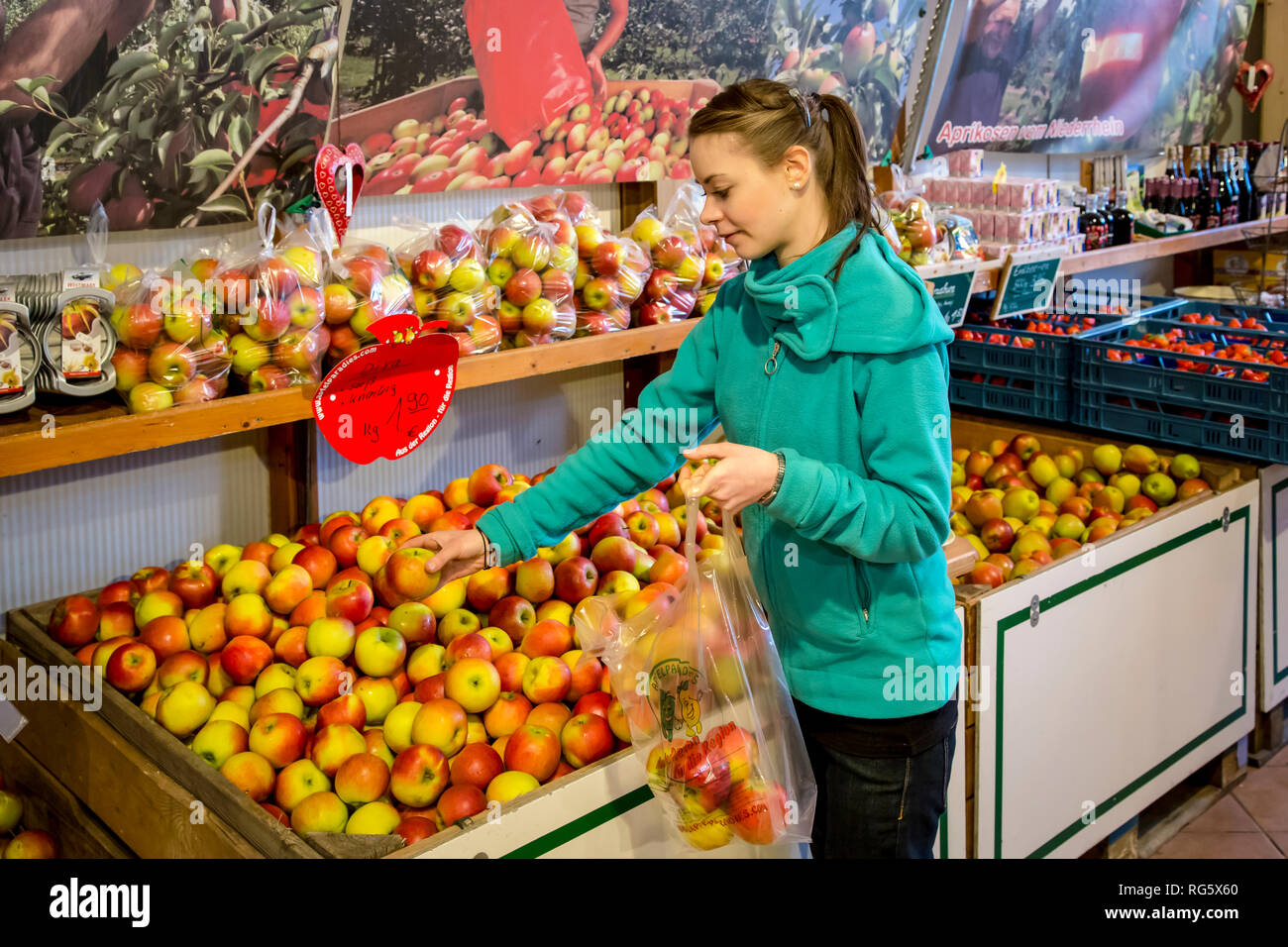 Le client achète les pommes à farm shop, Kundin kauft €pfel im Hofladen Banque D'Images