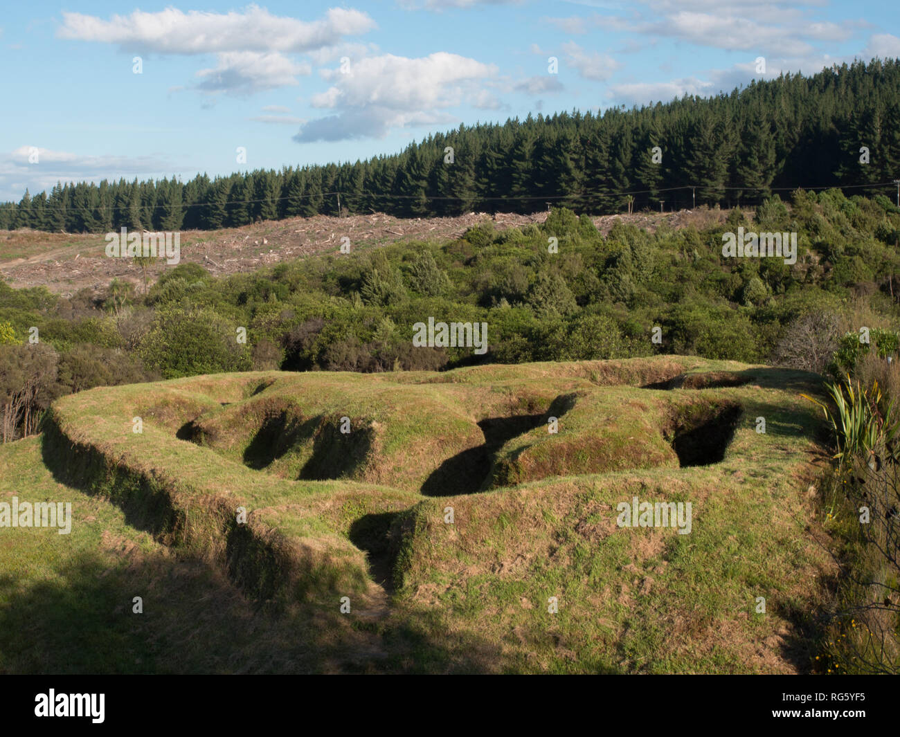 Te Porere, les terrassements de la basse redoute, l'été. Forêt de pins dans la distance. Banque D'Images