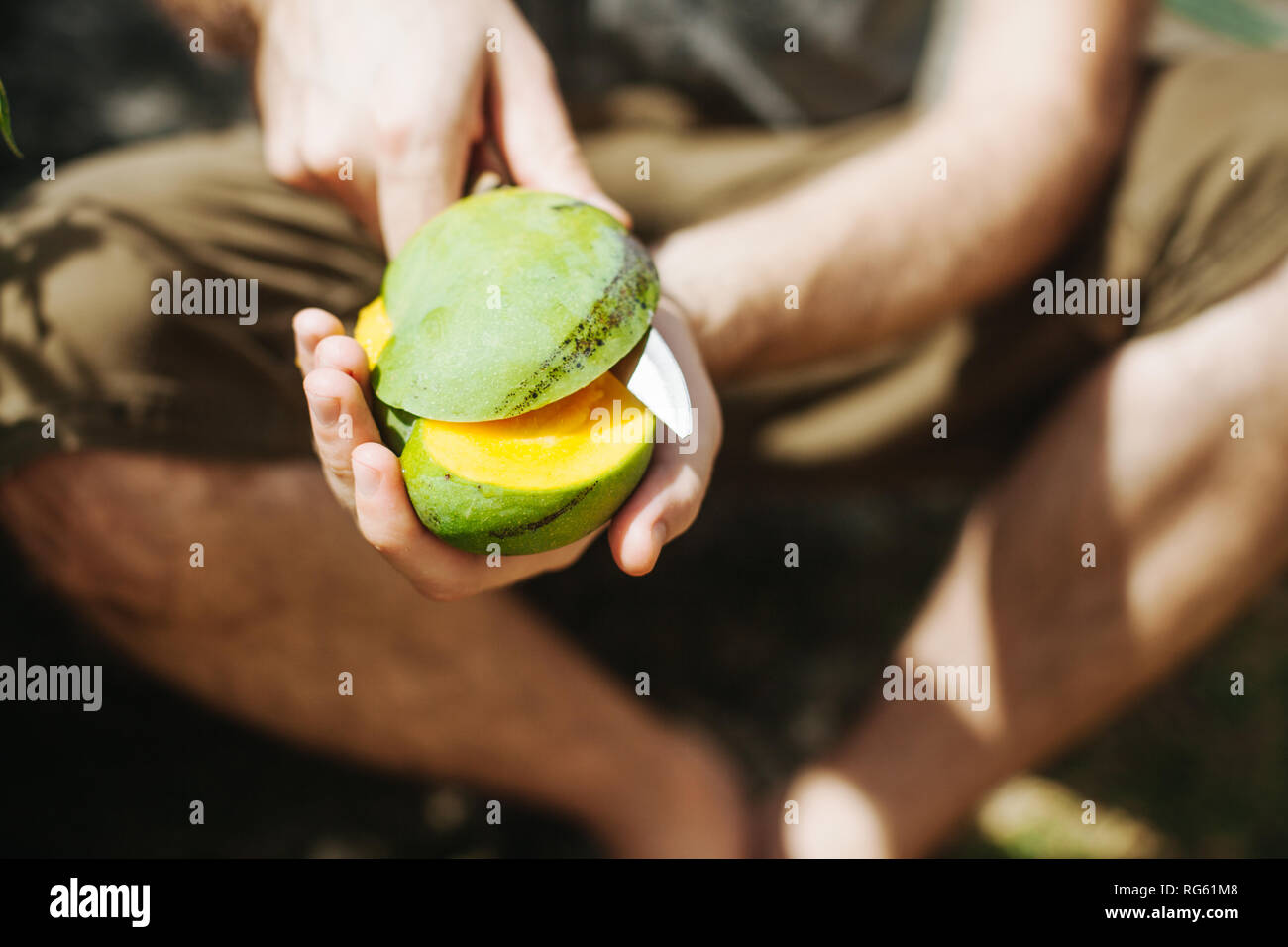 Coupe homme une mangue avec couteau, Seychelles Banque D'Images