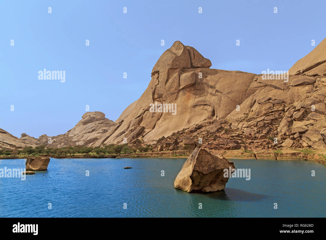 Le lac désert après les pluies, l'Arabie Saoudite Banque D'Images