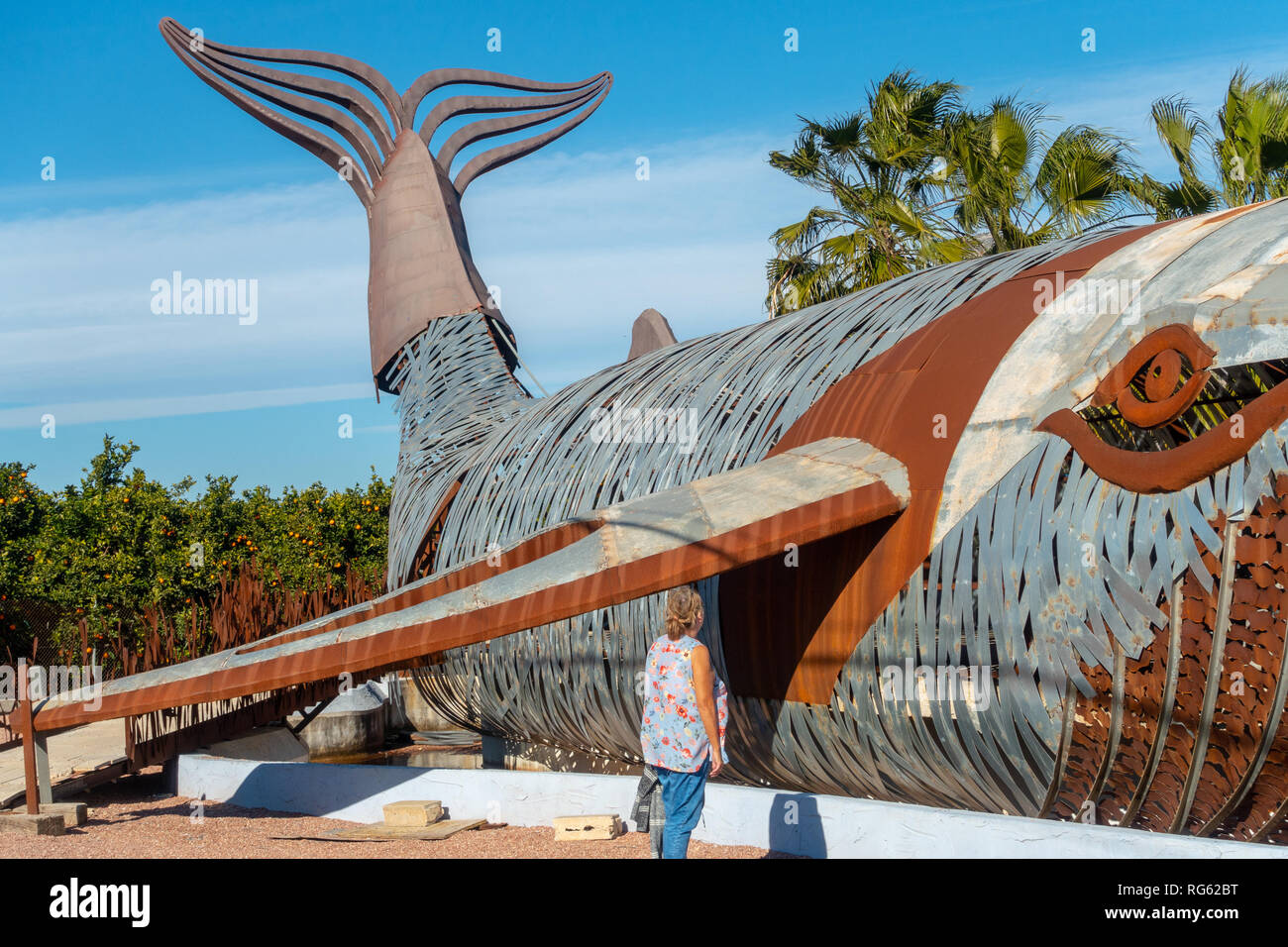 La baleine métal sculpture par Toni Mari, sculpteur à al Art Camp, Cami Cabanes, Javea, Alicante Espagne. Banque D'Images