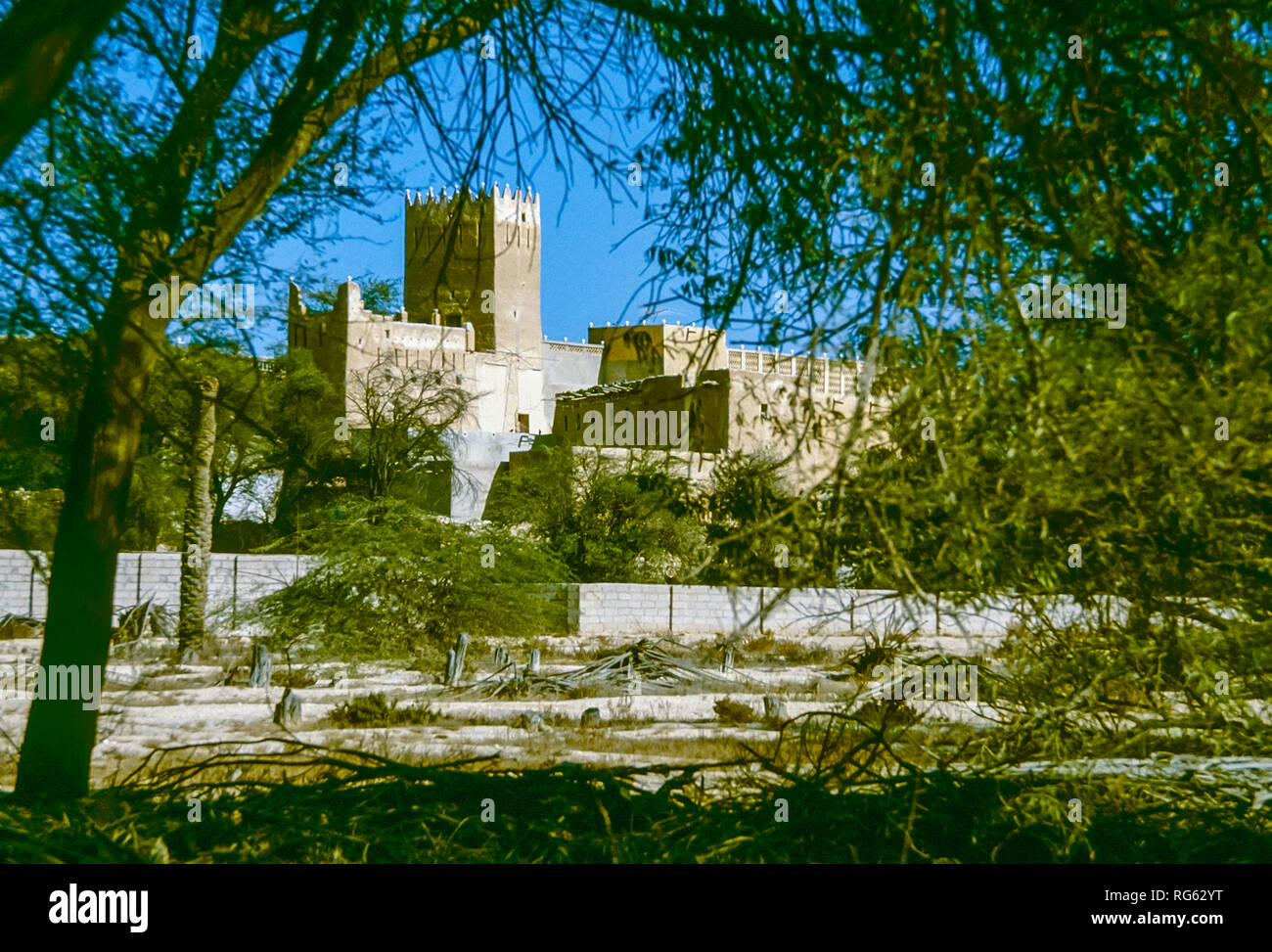 Le Qatar. La forteresse abandonnée et oasis de palmiers près de Doha en l'État du Qatar Golfe indépendants en 1982 Banque D'Images