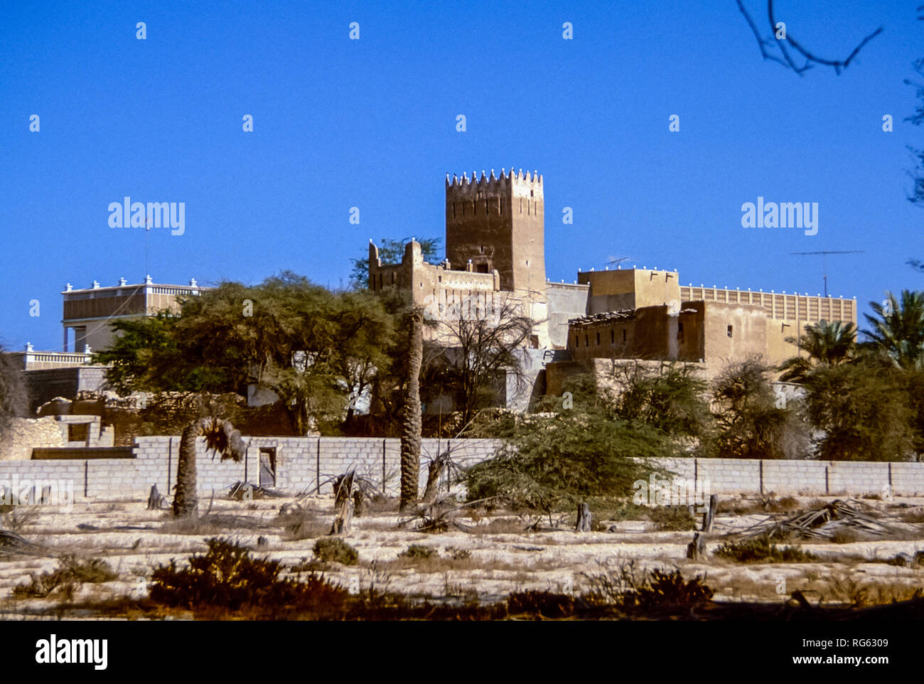 Le Qatar. La forteresse abandonnée et oasis de palmiers près de Doha en l'État du Qatar Golfe indépendants en 1982 Banque D'Images