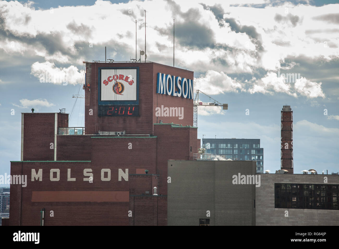 Montréal, Canada - le 8 novembre, 2018 : le logo de Molson Coors Molson Brewery tour de brique dans le centre-ville de Montréal, Québec. Il est l'un des plus grands producteurs de bière Banque D'Images