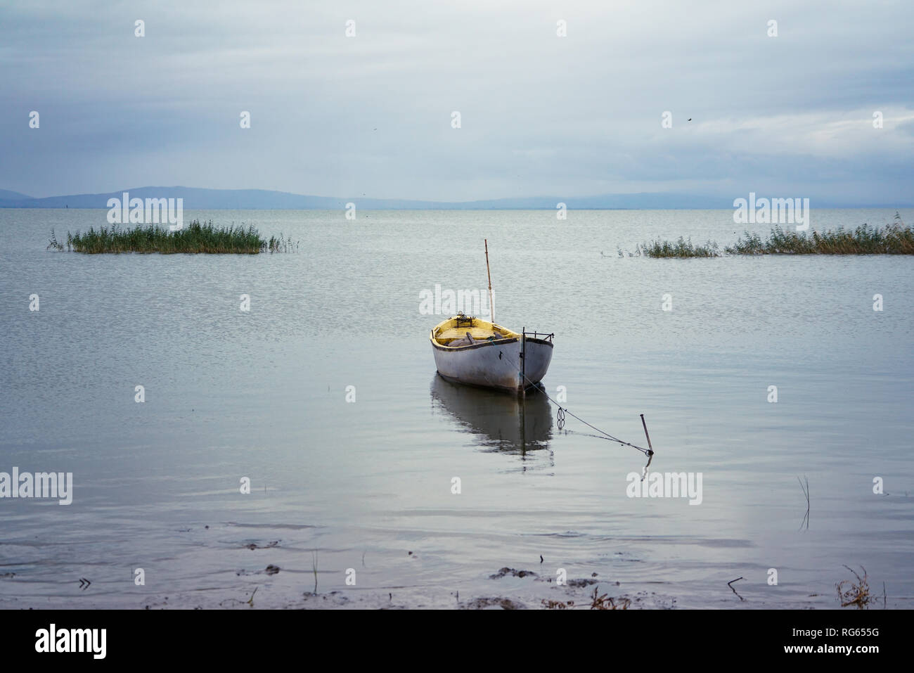 Flamants Roses dans le lac Manyas, Turquie Banque D'Images