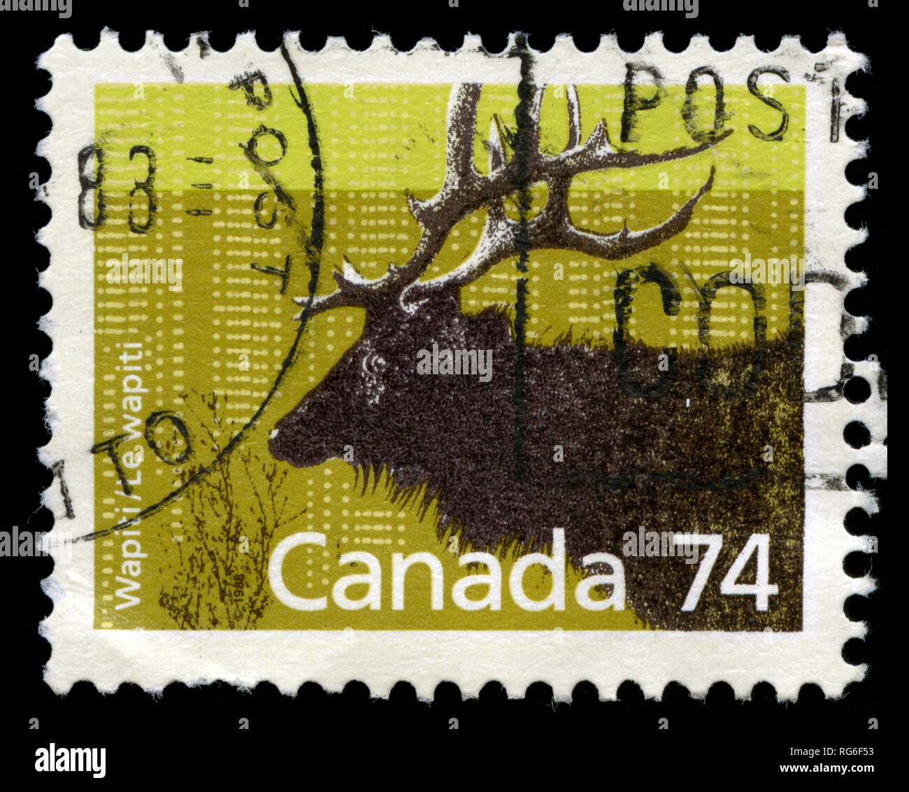 Timbre du Canada dans la période 1988-1993 Vous y trouverez : des mammifères canadiens série émise en 1988 Banque D'Images