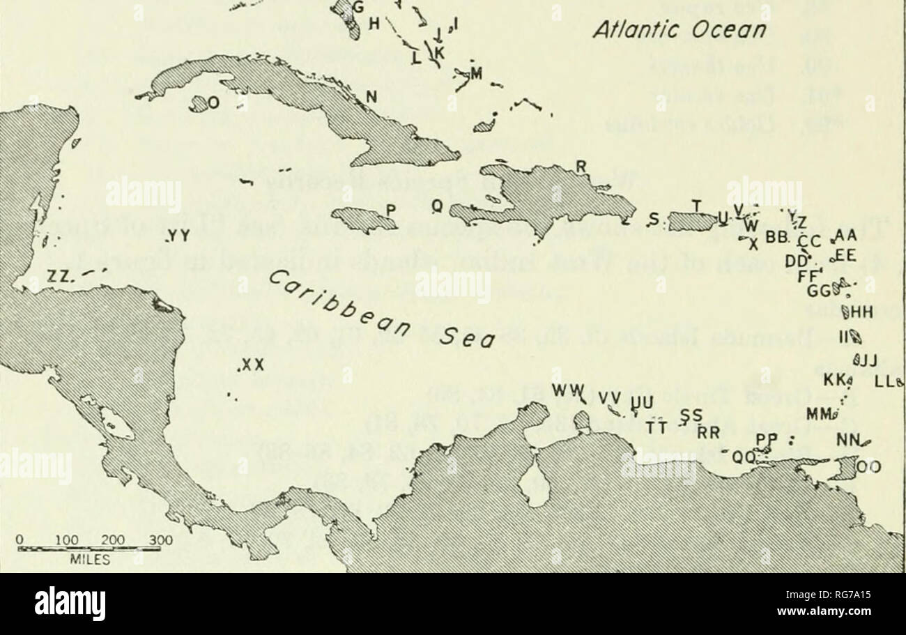 . Bulletin - United States National Museum. La science. Musée national des États-Unis 8 292 BULLETIN Golfe de K ; --^^^ J c Mexique ,^^ j'Océan Atlantique. X BB cc '•»^^ dl5v "EE Figure L-les Antilles Île Acklins Island Andros (M) (G) (Y) Anguilla Antigua Aruba Île (EE) (WW) Aves, Islas de (TT) Barbade (LL) Barbuda (AA) Bermudes (A) [vivant] Bimini Islands (D) Bonaire (UU) Cuba (N), l'île de Cubagua (QQ) Curasao (W) Dominique (HH) Île Eleuthera (E) l'île de Great Abaco (C) Green Cay (H) Green Turtle Cay (B) Grenade (MM) Guadeloupe (GG) Hispaniola (R) Jamaïque (P) La Orchila (RR) Long Island (K) Banque D'Images