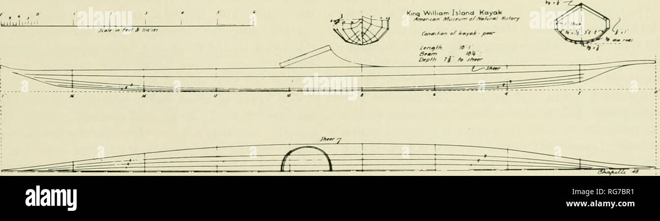 . Bulletin - United States National Museum. La science. La Figure 193 Kayak Eskimo Caribou, au Canada, en format .Musée Américain d'Histoire Naturelle.. Kayak Eskimo Netsilik, l'île King William, Canada, dans l'American Museum of Natural History. 203. Veuillez noter que ces images sont extraites de la page numérisée des images qui peuvent avoir été retouchées numériquement pour plus de lisibilité - coloration et l'aspect de ces illustrations ne peut pas parfaitement ressembler à l'œuvre originale.. United States National Museum, Smithsonian Institution, Etats-Unis. Ministère de l'intérieur. Washington : Smithsonian Institution Press, [etc. Banque D'Images