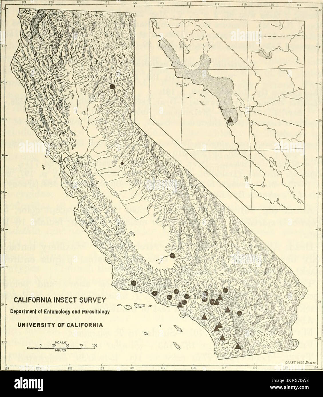 . Bulletin - United States National Museum. La science. Révision de MOTIIS D PRODOXINAE 43. Carte 4.-Distribution de Tegeticula maculata maculata (cercles noirs), Tegeticula viaculata extranea (triangles noirs), et de la plante hôte, l'Yucca whipplei (zone grisée dans la map) (distribution de l'hôte de modification de McKelvey, 1947). Matériel examiné.-CF 44 et cf 61 99. Etats-unis : Californie : Kern Co. : Caliente, 9, lectotype, P. maculata ; 2 fc Fc, ?, paralectotypes, P. viaculata (USNM). Los Angeles Co. : 9, lectotype, P. maculata var. apicella, juillet ; 3 cTcT, 9, juin-août, 2 cf tf" (USNM). Chilao Banque D'Images