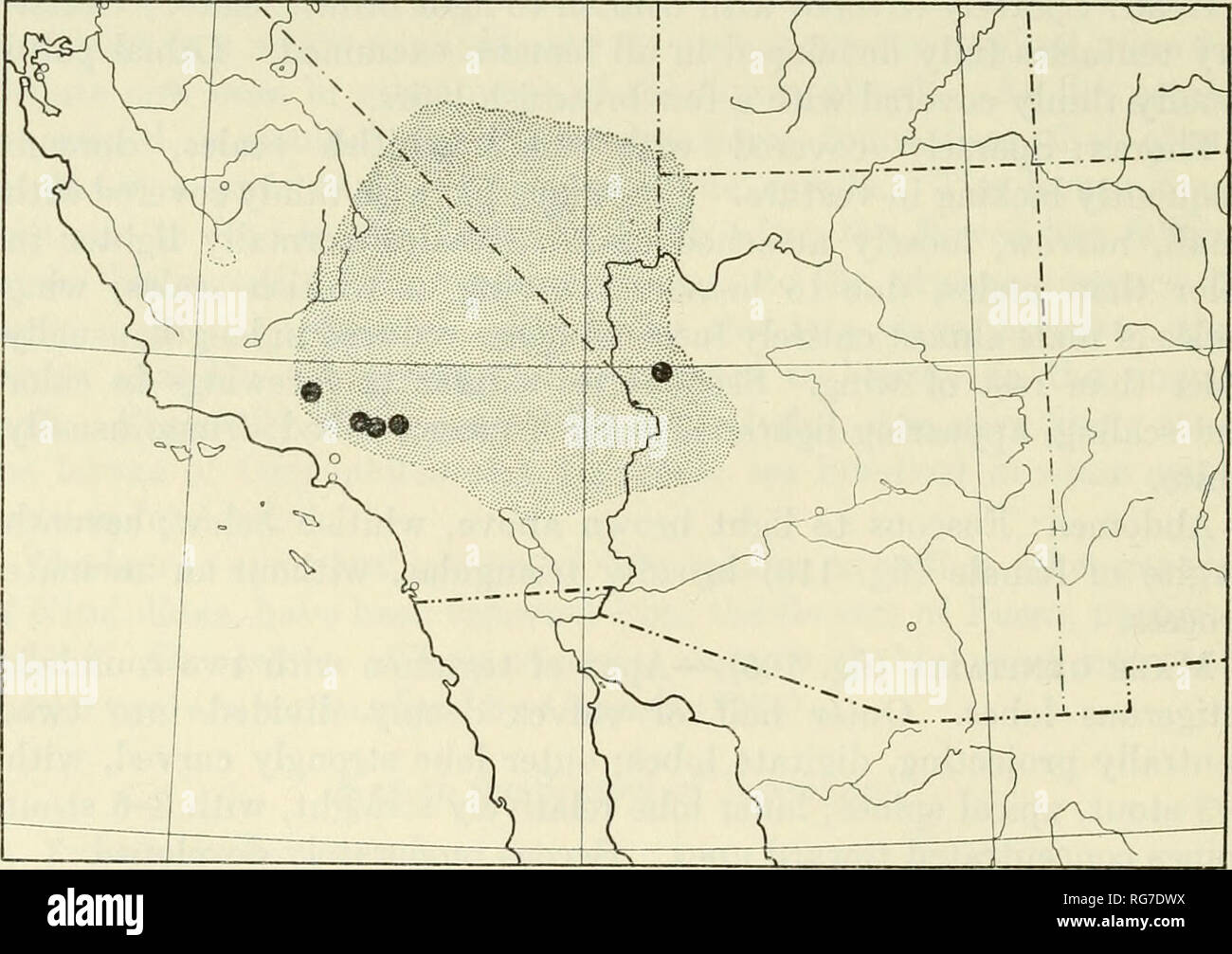 . Bulletin - United States National Museum. La science. 40 MUSÉE NATIONAL DES États-unis 2 55 BULLETIN DE L'ovipositeur arrondis, serrulate. L'oviducte, dépassant considérablement allongé la durée des apophyses. La sortie du canal à Bursa, postérieure à l'oviducte spermathèque, comme dans T. yuccasella. Type.-Lectotype (désigné par l'auteur), 9, Mojave, Californie, 4 février 1891, par C. C. Riley, USNM 416 ; dans le United States National Museum, localité type.-Mojave, Kern Co., Californie, (lectotype). L'hôte enregistré.-«hrevifolia Yucca Engelmann," Riley, 1892a. Les alésages de larve dans les graines de plantes hôtes. Distribution (carte 3).-Pr Banque D'Images