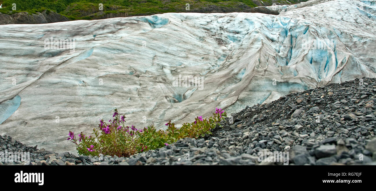 Glacier Exit, Kenai Fjords National Park, Seward, Alaska Banque D'Images