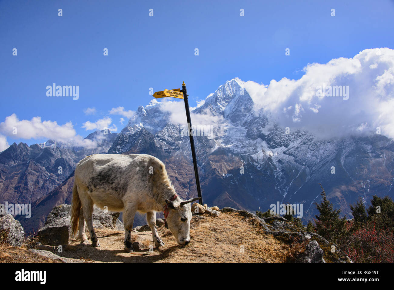 Vallée du Khumbu, Népal, Khumjung Banque D'Images