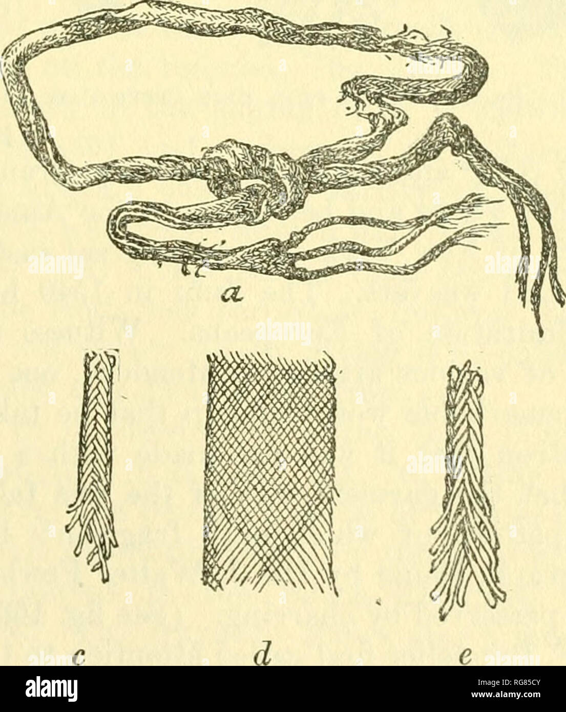 Bulletin - United States National Museum. La science. Fig. 156.-ball ou  coproF cordon yucca de Bear Creek Cave. Tressage. Un textile primitive sous  la forme d'une tresse de yucca a été