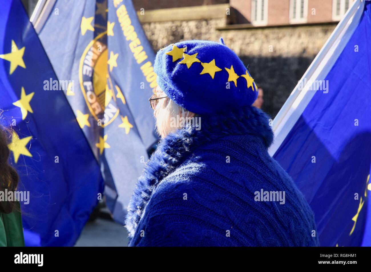 Londres, Royaume-Uni. 28 janvier 2019. Remainers ont protesté en face du Palais de Westminster.à la veille d'une série de crunch voix sur l'avenir de l'Brexit.Westminster, London.UK Crédit : michael melia/Alamy Live News Banque D'Images