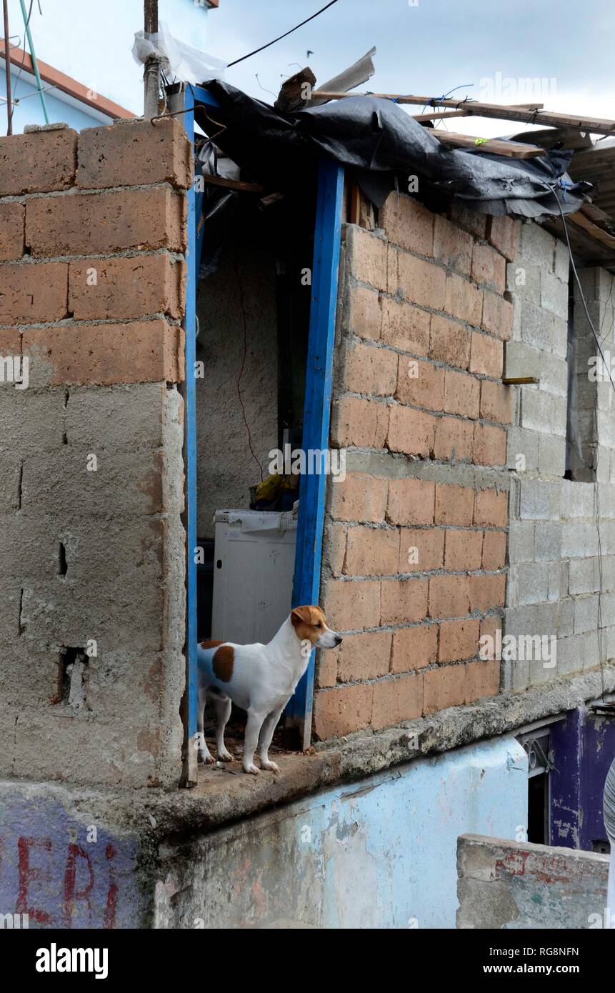 La Havane, Cuba. 28 janvier, 2019. Une maison endommagée est vu dans la région touchée par la tornade dans la municipalité de Regla à La Havane, Cuba, le 28 janvier 2019. Une puissante tornade a traversé la capitale cubaine le dimanche soir, laissant trois morts et 172 autres blessés. Credit : Joaquin Hernandez/Xinhua/Alamy Live News Banque D'Images