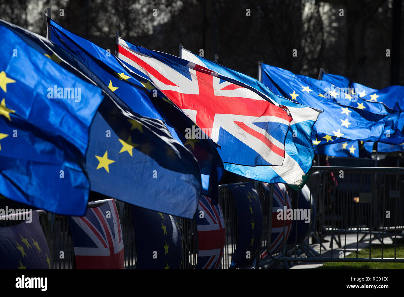 Anti-Brexit participants vague Union européenne et de l'Union européenne en dehors de la drapeaux Maisons du Parlement, Londres. Banque D'Images