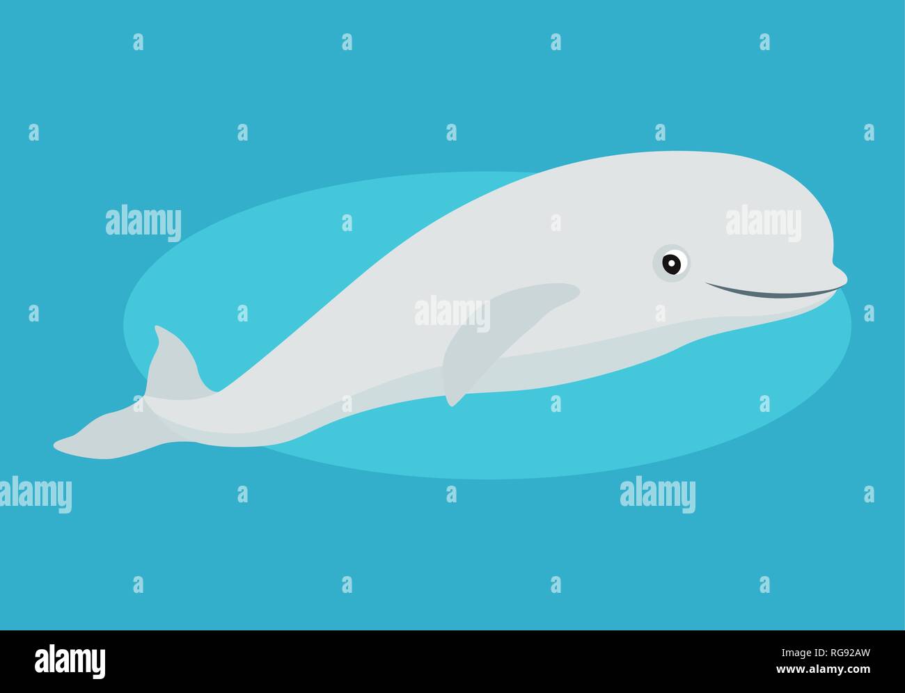Béluga mignon drôle, icône de l'Arctique, cétacés blanc isolé sur fond bleu, marine mammal, vector illustration. Illustration de Vecteur