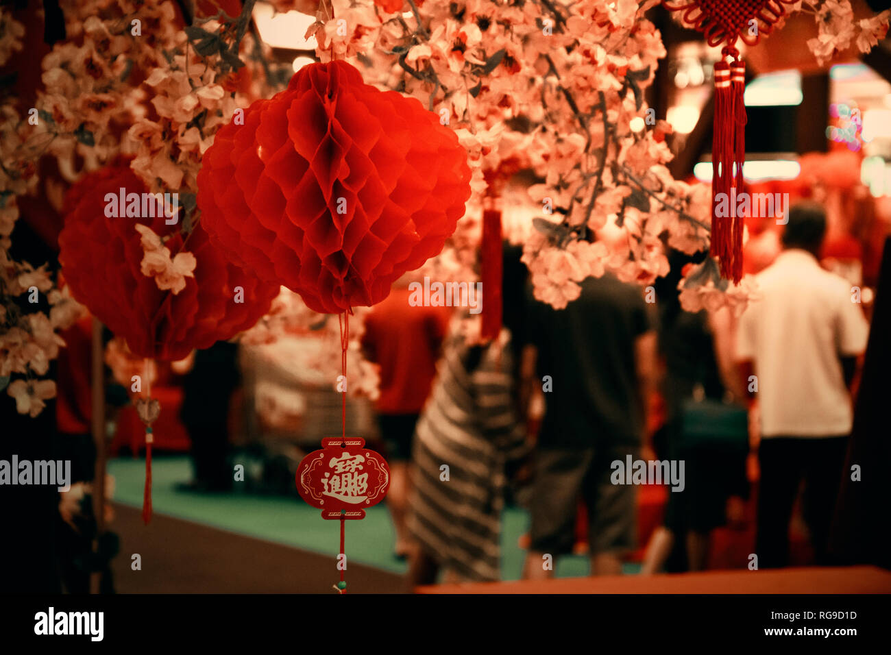 Le Nouvel An chinois 2019 Banque D'Images