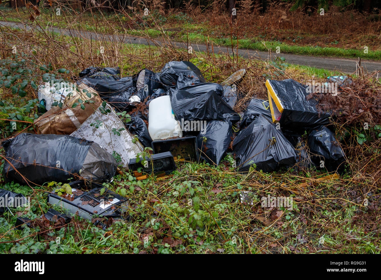 Fly-illégale des déchets dans l'environnement rural de la campagne, Norfolk, Royaume-Uni. Black sacs de déchets ménagers et du matériel supplémentaire. Banque D'Images