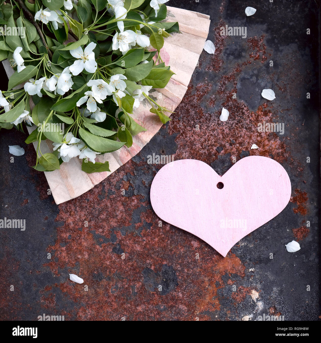 Carte de Saint-Valentin avec un coeur rose et fleur de pomme avec fan de paperasse à la main contre l'arrière-plan fer rustique texturé Banque D'Images