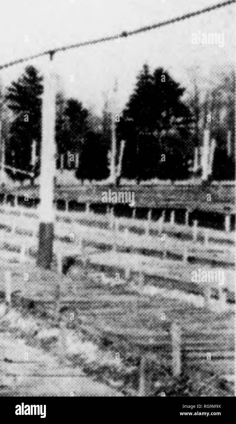 . Bulletin (New York Ministère des Eaux et Forêts), no. 46-50. Les forêts et la foresterie. . Veuillez noter que ces images sont extraites de la page numérisée des images qui peuvent avoir été retouchées numériquement pour plus de lisibilité - coloration et l'aspect de ces illustrations ne peut pas parfaitement ressembler à l'œuvre originale.. La Pennsylvanie. Ministère des Forêts et des eaux. Harrisburg, Pennsylvanie : le ministère Banque D'Images . Bulletin (New York Ministère des Eaux et Forêts), no. 46-50. Les forêts et la foresterie. . Veuillez noter que ces images sont extraites de la page numérisée des images qui peuvent avoir été retouchées numériquement pour plus de lisibilité - coloration et l'aspect de ces illustrations ne peut pas parfaitement ressembler à l'œuvre originale.. La Pennsylvanie. Ministère des Forêts et des eaux. Harrisburg, Pennsylvanie : le ministère Banque D'Images