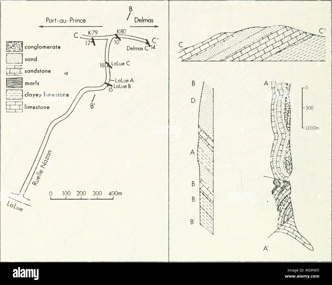 . Bulletins de la paléontologie américain. Bulletin 570 286. Texte-figure 15. - Les sections et l'emplacement des articles dans le Petionville-Del- mas, Haïti. En bas à droite : A-A' l'article de Petionville au NNO (texte-fig. 14) après Woodring et Brown (Woodring, et al., 1924, fig. 15). Haut à droite : C-C section le long de Port-au-Prince-Delmas road, l'emplacement en haut à gauche (après A. Pressoir, 1951). Milieu : Section B-B' le long de Ruelle Nazan, loca- tion en haut à gauche (après A. Pressoir, 1951). Unités lithologiques et légende pour les sections B-B' et C-C après le pressoir et Butterlin. Emplacement des combustibles fossiles du pressoir hori Banque D'Images . Bulletins de la paléontologie américain. Bulletin 570 286. Texte-figure 15. - Les sections et l'emplacement des articles dans le Petionville-Del- mas, Haïti. En bas à droite : A-A' l'article de Petionville au NNO (texte-fig. 14) après Woodring et Brown (Woodring, et al., 1924, fig. 15). Haut à droite : C-C section le long de Port-au-Prince-Delmas road, l'emplacement en haut à gauche (après A. Pressoir, 1951). Milieu : Section B-B' le long de Ruelle Nazan, loca- tion en haut à gauche (après A. Pressoir, 1951). Unités lithologiques et légende pour les sections B-B' et C-C après le pressoir et Butterlin. Emplacement des combustibles fossiles du pressoir hori Banque D'Images