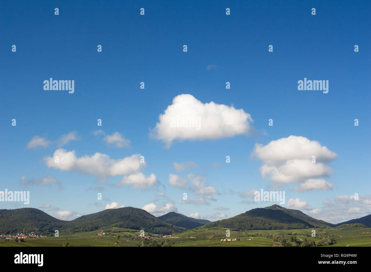 De vertes collines de forêts et de vignobles et d'arbres sous un ciel bleu avec des nuages blancs Banque D'Images