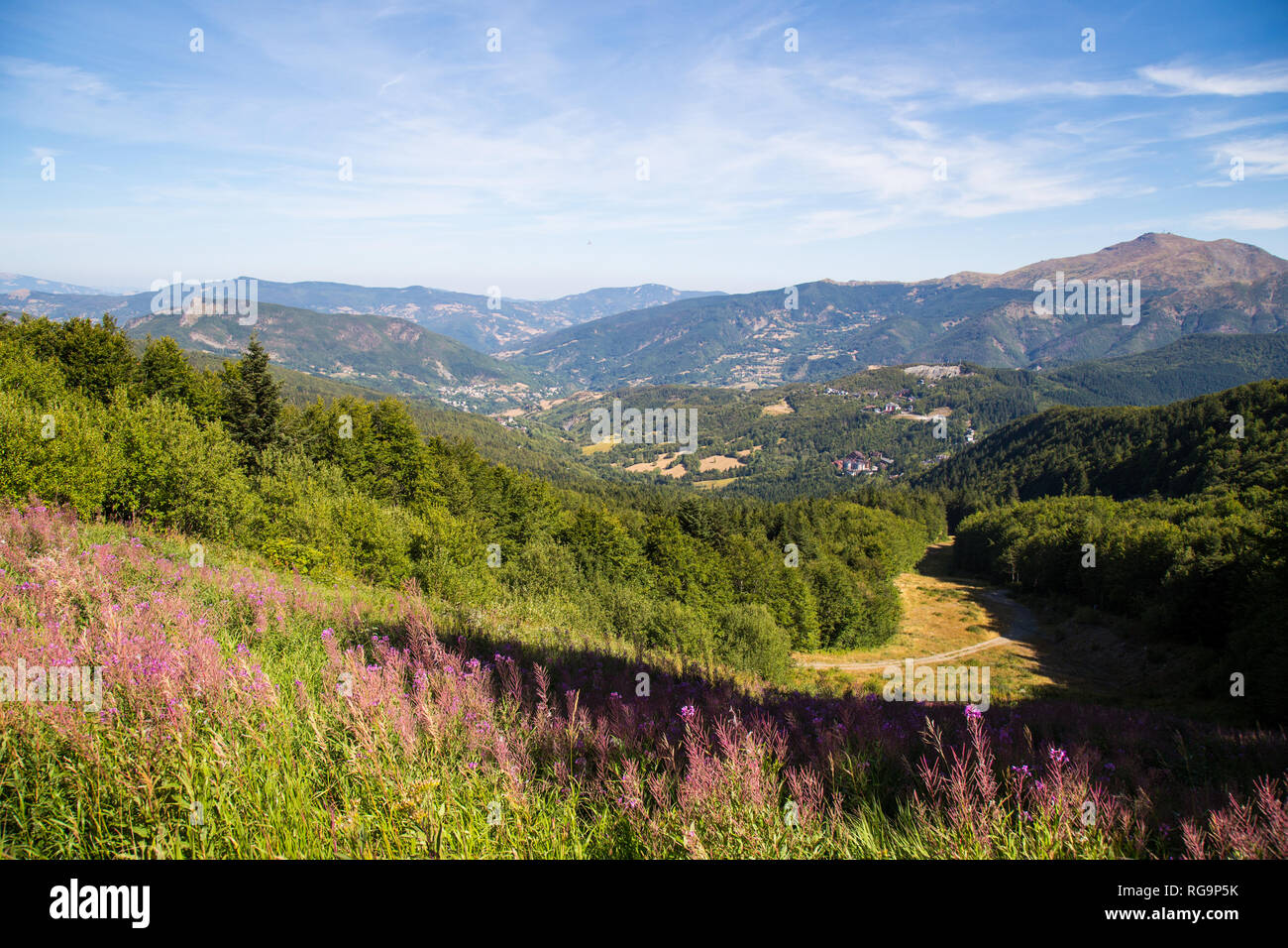 Paysage de la montagne en été, Abetone Pistoia, Toscane, Italie Banque D'Images