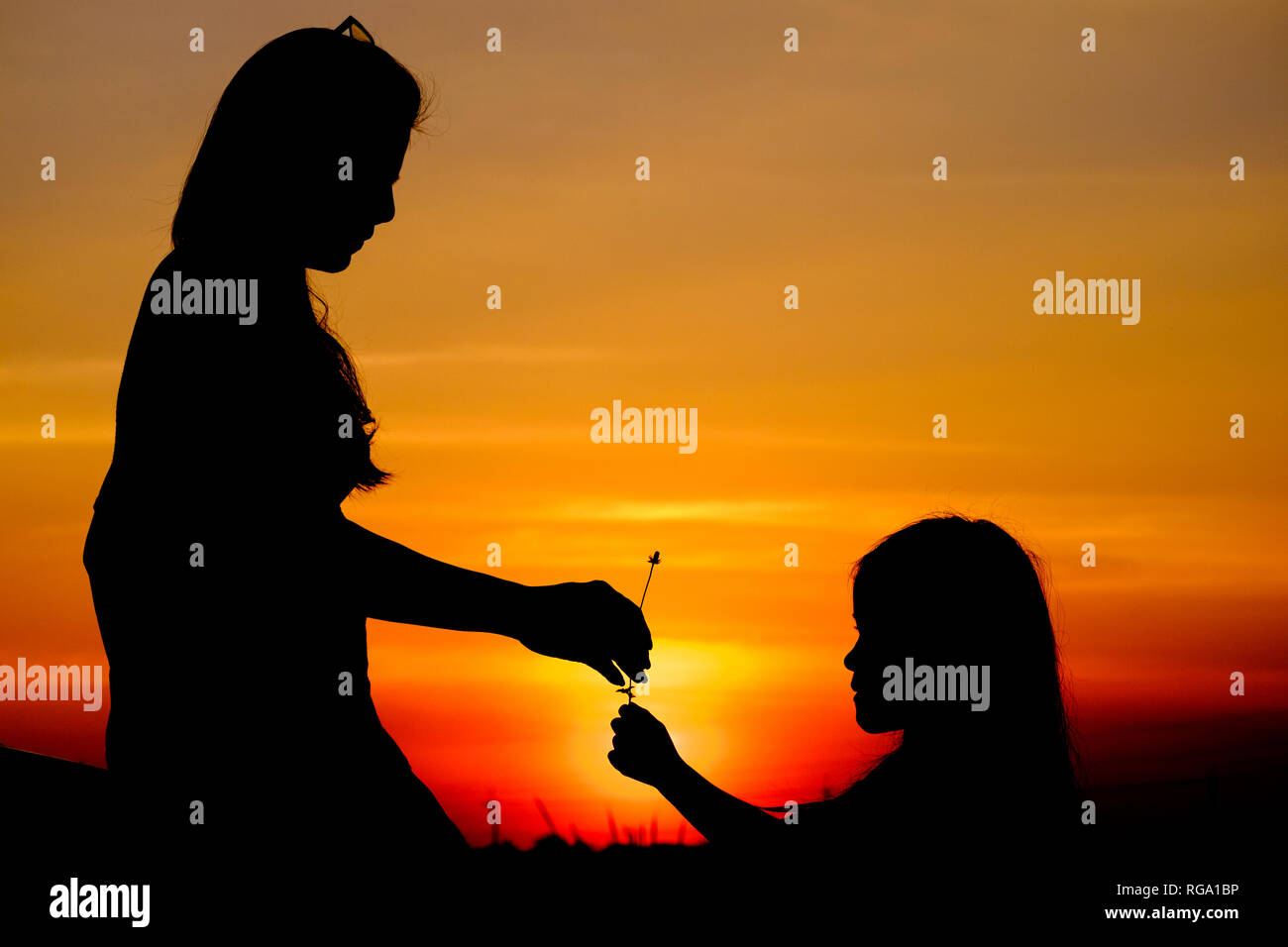 Silhouette de mère et fille au coucher du soleil Banque D'Images