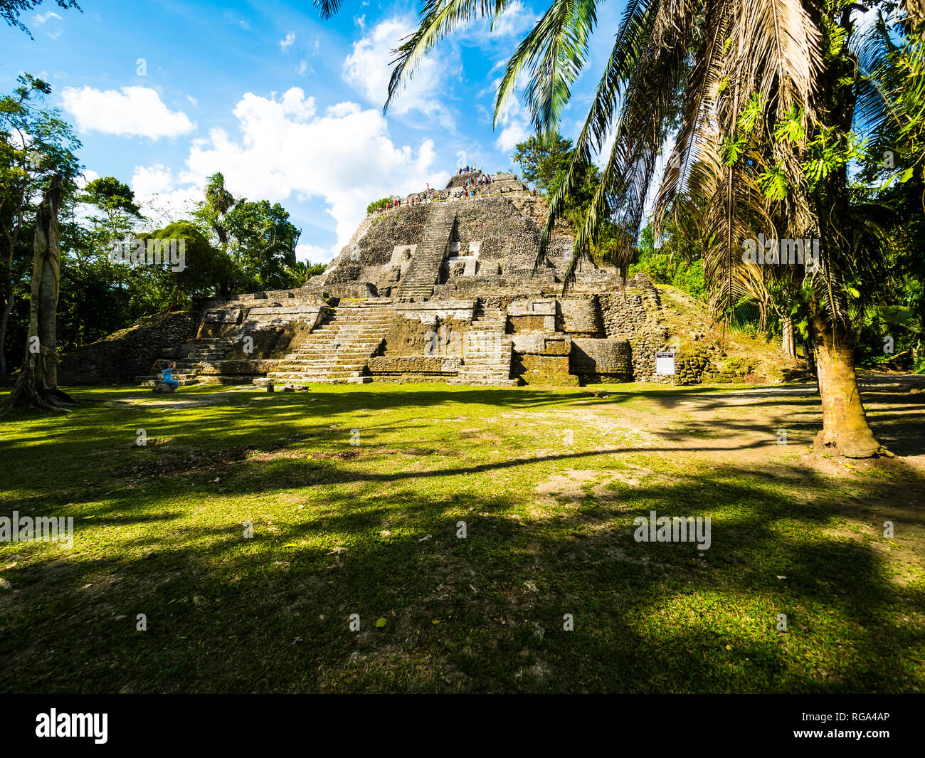 L'Amérique centrale, le Belize, péninsule du Yucatan, à New River, Lamanai, ruine, temple maya haut Banque D'Images