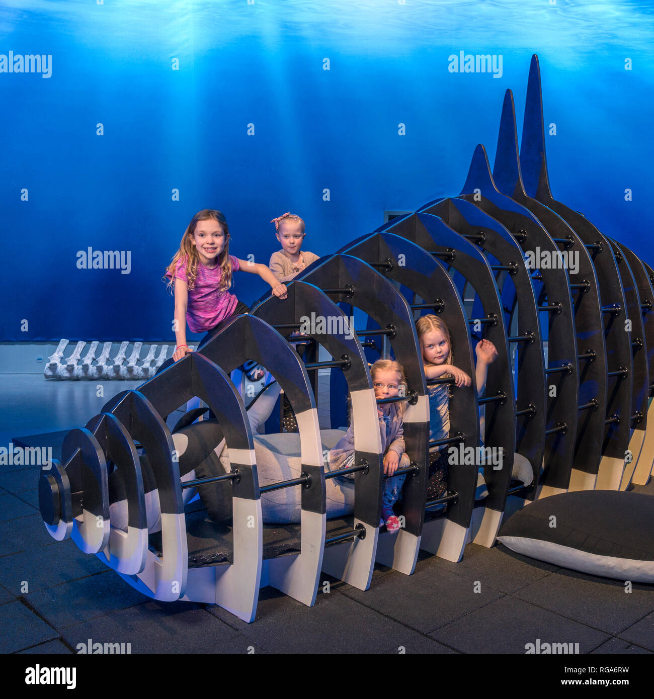 Musée des baleines, Reykjavik, Islande Banque D'Images