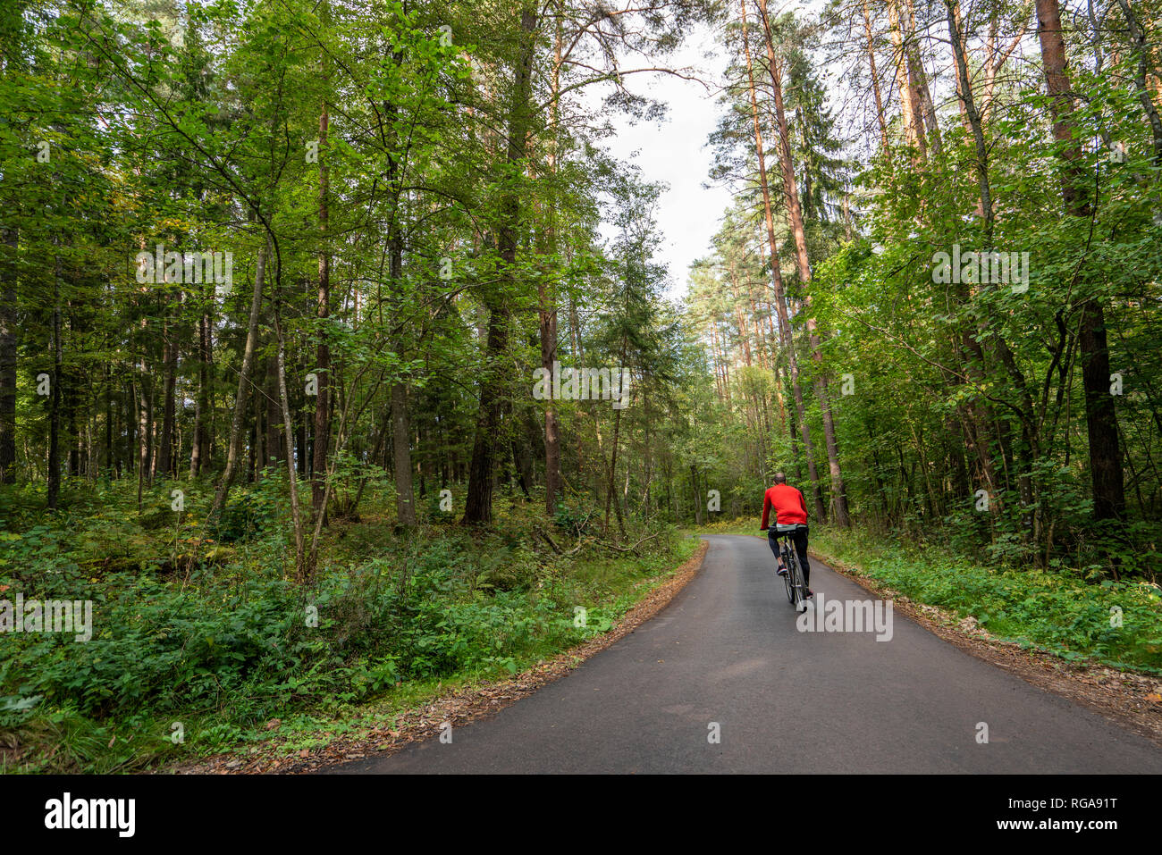 Le vélo de l'athlète dans les bois Banque D'Images