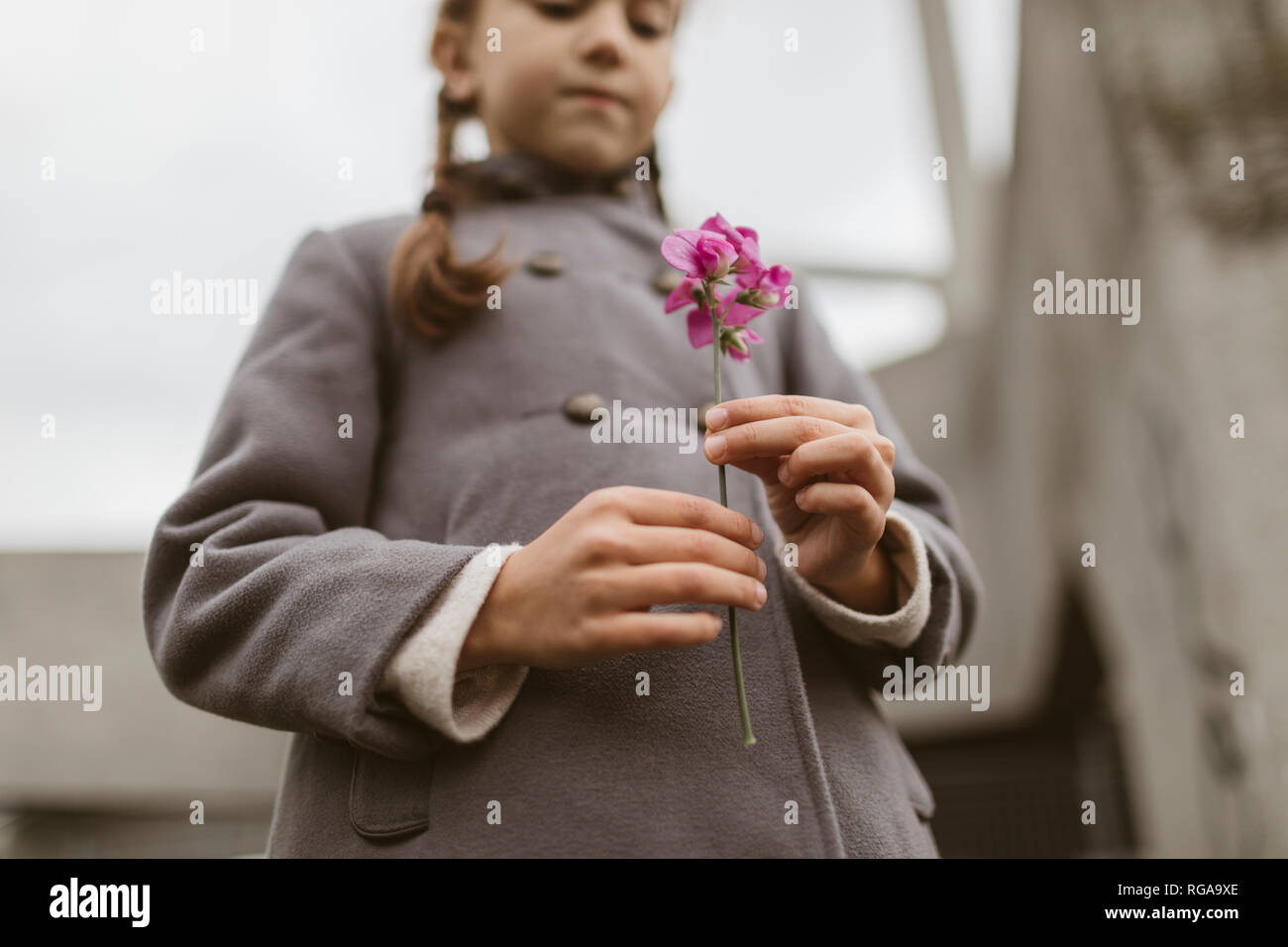 Girl's hands holding pink blossom Banque D'Images