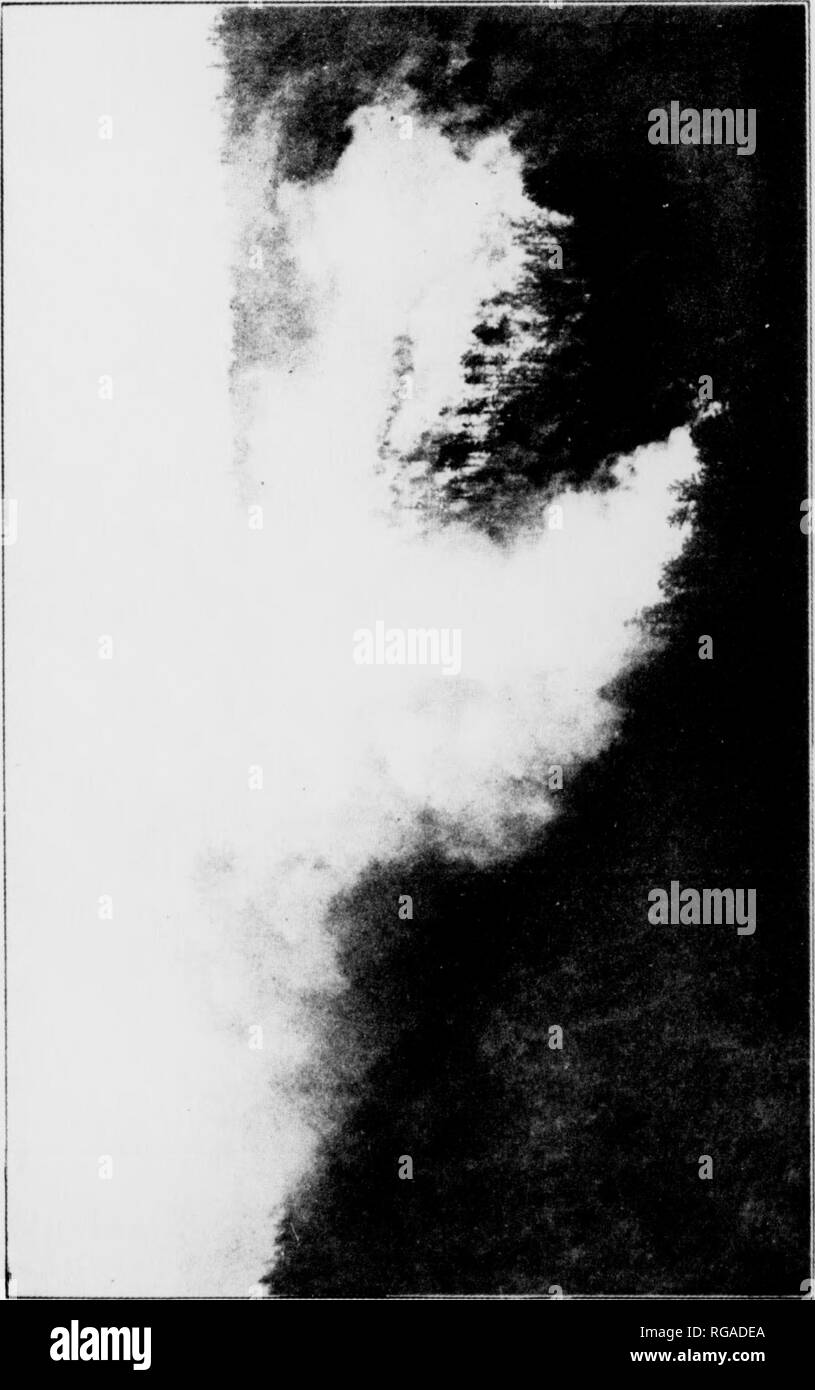 . Bulletin (New York Ministère des Eaux et Forêts), no. 35. Les forêts et la foresterie. H 00 Ed H O O H CO "lorsque les incendies atteignent leur maximum, ils sont plus que terrible dans leur fureur. L'air semble en feu. Il y a ceux qui croient que l'air se décompose à une certaine chaleur et que les gaz s'enflamment, forme- mg une atmosphère de cain. Dans le feu de l'Peshtigo flammes semblait aller quarante milles à travers l'air crasseux. Dans cet holocauste une chose étrange s'est passé difficile d'explication physique. Une nouvelle maison, partiellement terminées et en cours de construction, situé près de Banque D'Images