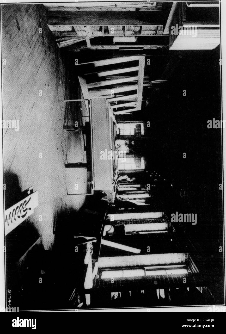. Bulletin (New York Ministère des Forêts), no. 8-9. Les forêts et la foresterie. 112 un peu de laine et les usines de coton, est tout à fait significatif. L'érable et le sucre mou la canette meublé et speeder, et les piquants de l'érable à sucre et le cornouiller a rencontré la demande, celle-ci qu'à une mesure limitée en raison de son prix plus élevé. Bobbin matériel doit être dur, dur, à grain fin, avec une texture lisse facilement, et ne pas racler dans les virages. Le bouleau à papier est l'espèce dont les petites bobines de fil sont fabriqués et le Maine est l'état où la plupart d'entre elles sont produites. Les petites bobines sont Banque D'Images