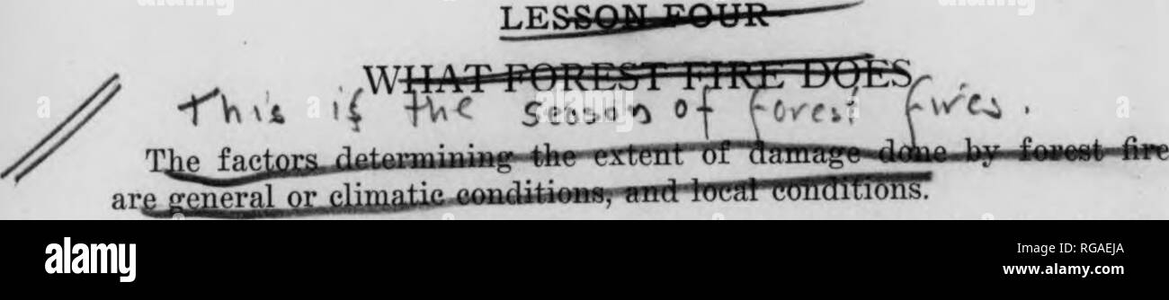 . Bulletin (New York Ministère des Eaux et Forêts), no. 33-35. Les forêts et la foresterie. 8 Il aide à diminuer la fréquence des inondations et d'abaisser les seuils d'inondation des cours d'eau. La forêt fournit des loisirs et de la santé. Il fournit des conditions favorables pour le gibier et le poisson, et pour le sport de la chasse et de la pêche. Il fournit les éléments qui font un beau et sain. Il réduit les extrêmes de la température en été comme en hiver. En fait, il fournit la nourriture, l'eau, vêtements, travail, loisirs, santé, richesse. Un vieux proverbe allemand l'a que ''Le soin de la forêt apporte al Banque D'Images . Bulletin (New York Ministère des Eaux et Forêts), no. 33-35. Les forêts et la foresterie. 8 Il aide à diminuer la fréquence des inondations et d'abaisser les seuils d'inondation des cours d'eau. La forêt fournit des loisirs et de la santé. Il fournit des conditions favorables pour le gibier et le poisson, et pour le sport de la chasse et de la pêche. Il fournit les éléments qui font un beau et sain. Il réduit les extrêmes de la température en été comme en hiver. En fait, il fournit la nourriture, l'eau, vêtements, travail, loisirs, santé, richesse. Un vieux proverbe allemand l'a que ''Le soin de la forêt apporte al Banque D'Images