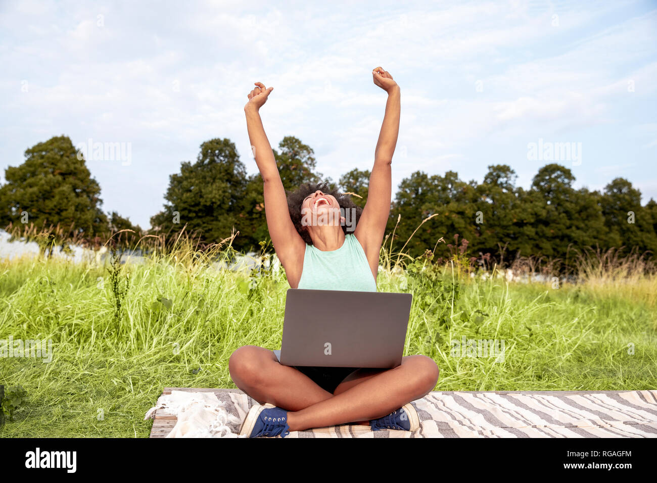 Cheering woman sitting in a meadow using laptop Banque D'Images