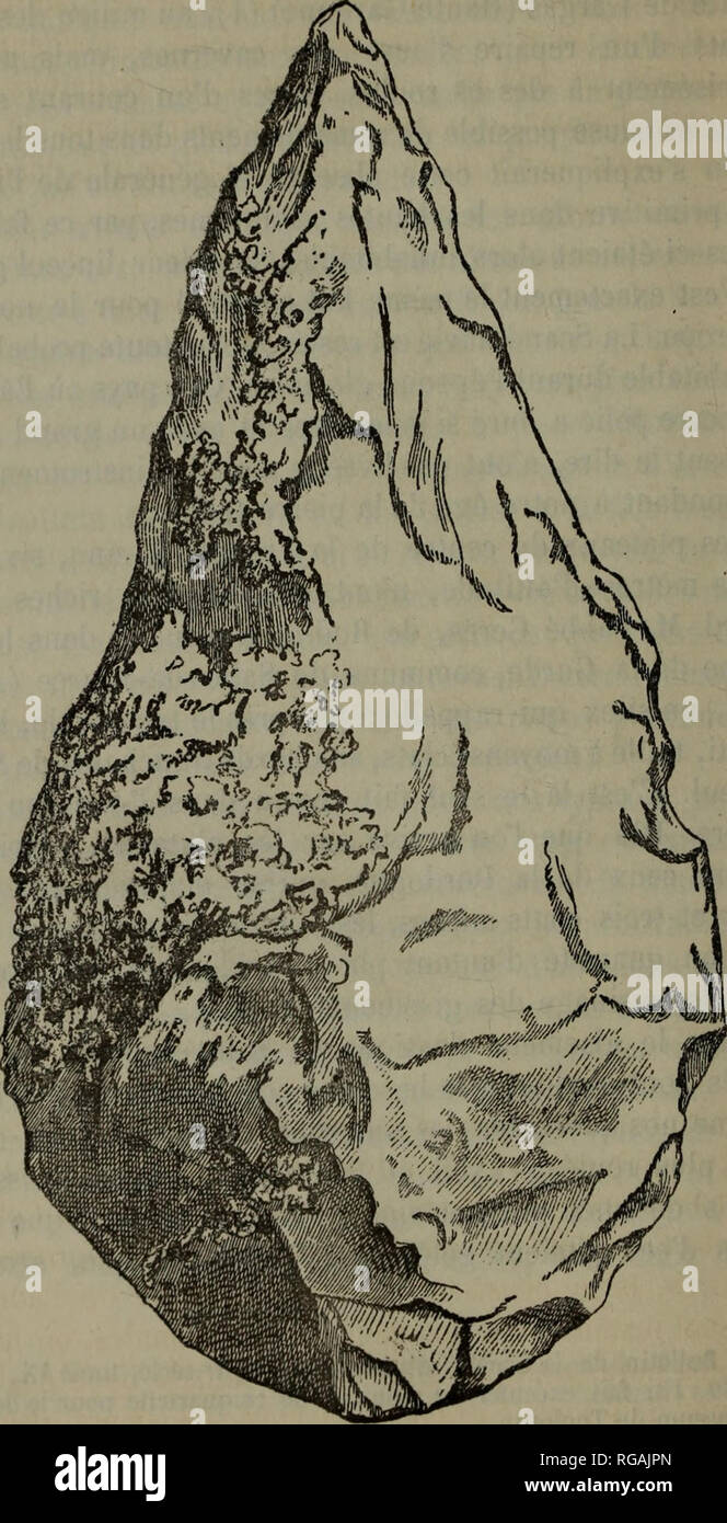 . Bulletin Societe d'Histoire Naturelle de Toulouse et de Midi Pyrénées).. - 88 . En Poinlo hrès siliceux taillé. Ousidaa près Tlemcen (Algérie). Veuillez noter que ces images sont extraites de la page numérisée des images qui peuvent avoir été retouchées numériquement pour plus de lisibilité - coloration et l'aspect de ces illustrations ne peut pas parfaitement ressembler à l'œuvre originale.. Société d'histoire naturelle de Toulouse. Banque D'Images