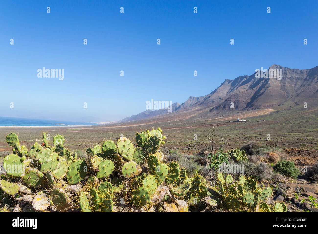 Plage de Cofete et belle vue sur montagne de Jandia, Fuerteventura, îles Canaries, Espagne Banque D'Images