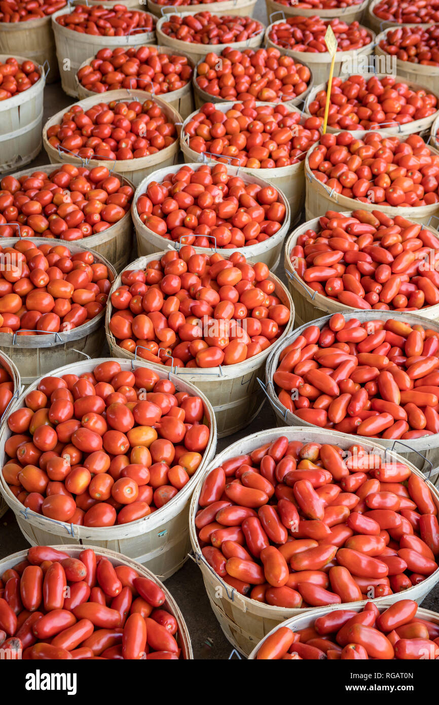 Romano, tomates italiennes en vente sur un marché de fermiers par le pack ou le boisseau. Banque D'Images